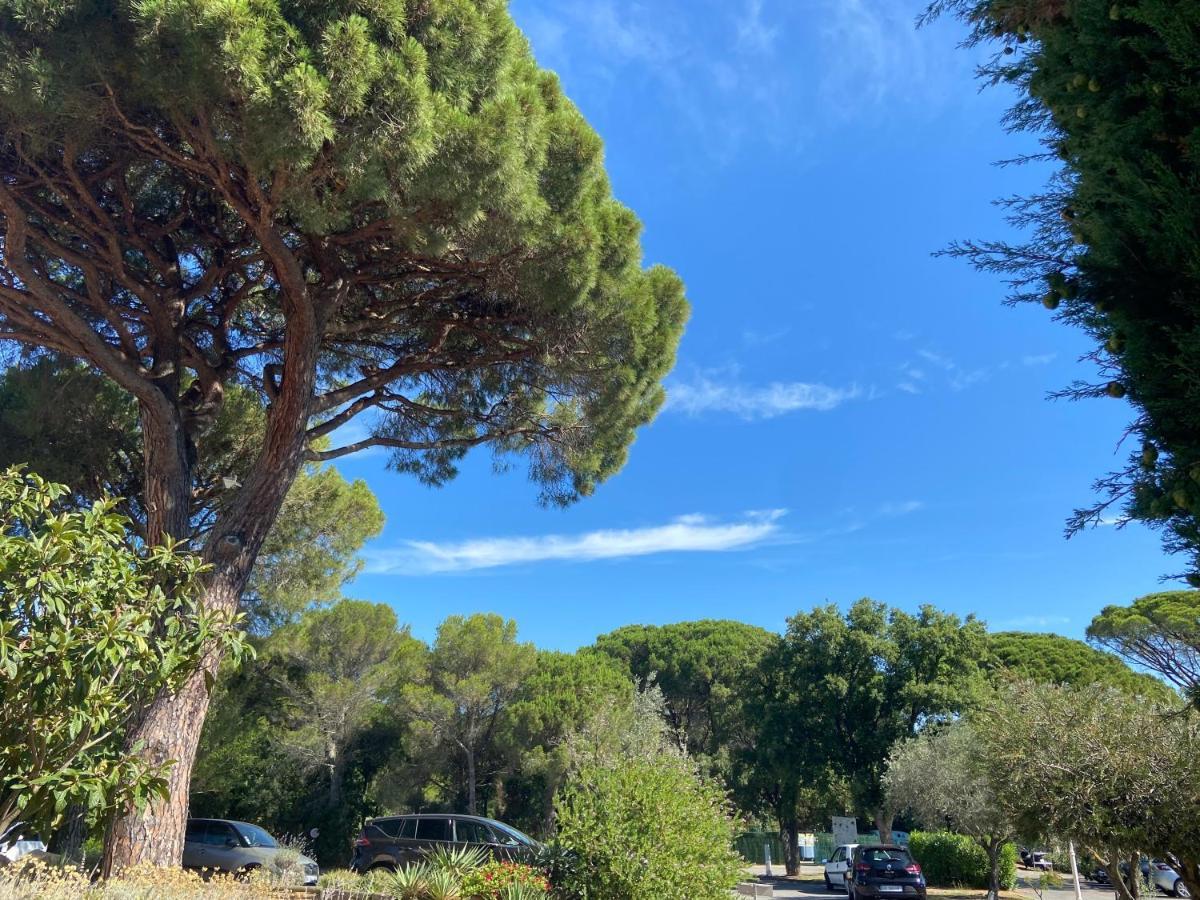 Domaine Valescure Appartement 1 Ou 2 Pieces Vue Jardin Ou Piscine Saint-Raphaël المظهر الخارجي الصورة